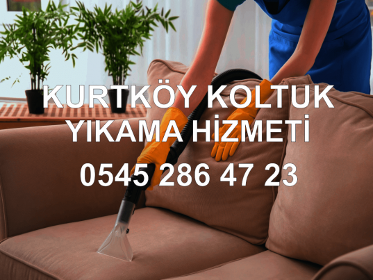 Kurtköy Koltuk Yıkama